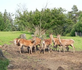 Ferienhaus Kaikenried