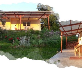 Ferienhaus Naumburg Saale