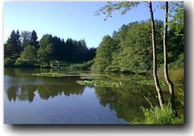 Ferienhaus Niederohmen/Windhain am See, Hessen Kinderfreundlicher