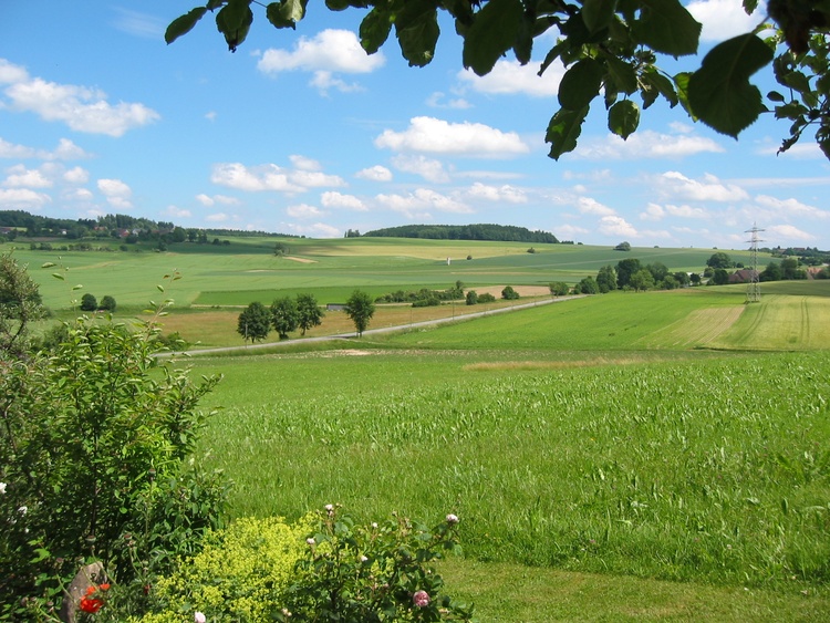 Straße von Hattenweiler Richtung Heiligenberg Straße von Hattenweiler Richtung Heiligenberg