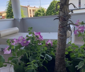Appartment Desenzano del garda
