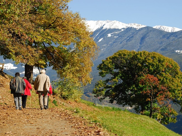 unterwegs am Kastanienweg unterwegs am Kastanienweg