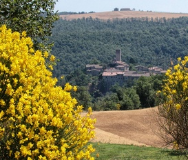 Ferienhaus San Venanzo