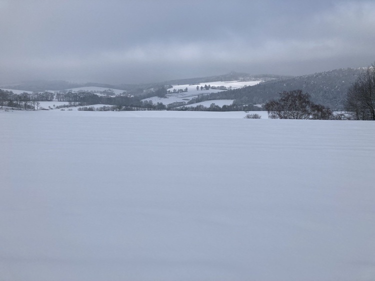 Schnee um Seepark Schnee um Seepark