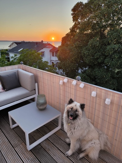 Hunde erlaubt! Hunde erlaubt!