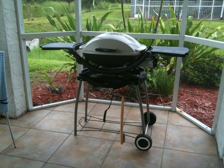 Weber Gasgrill