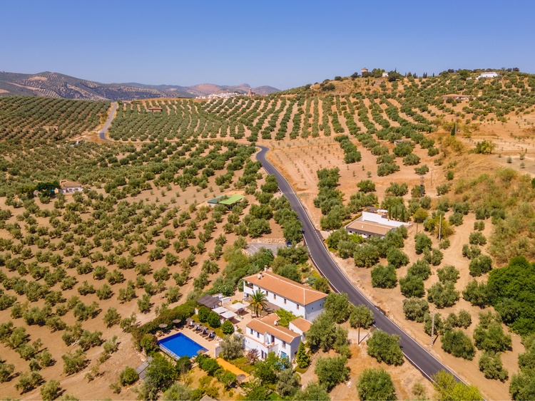 CASA OLIVAR CASA OLIVAR