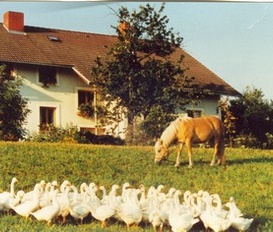 Ferienwohnung Mottingeramt