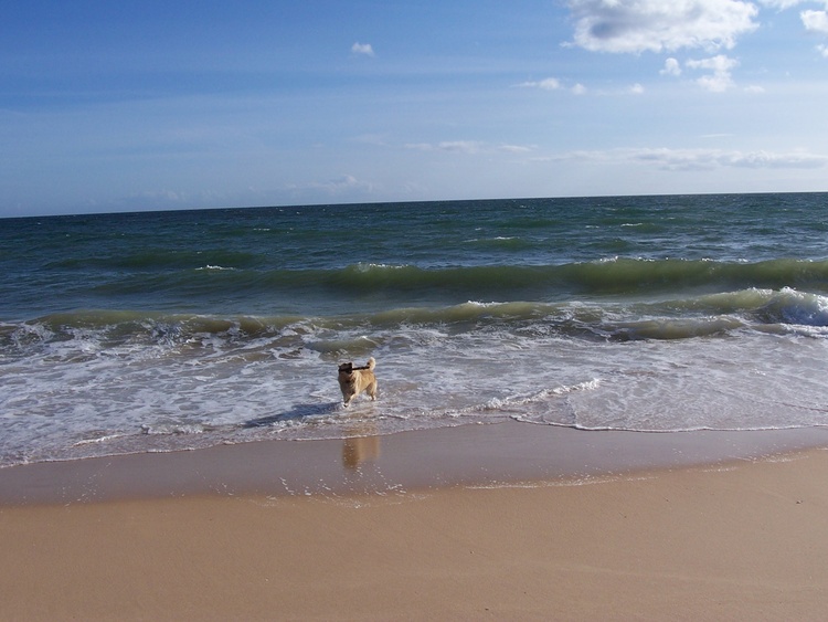 Atlantik Atlantik