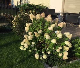 Holiday Apartment Dobra