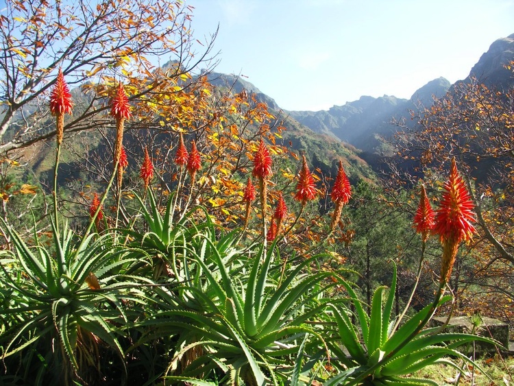 in den Bergen in den Bergen