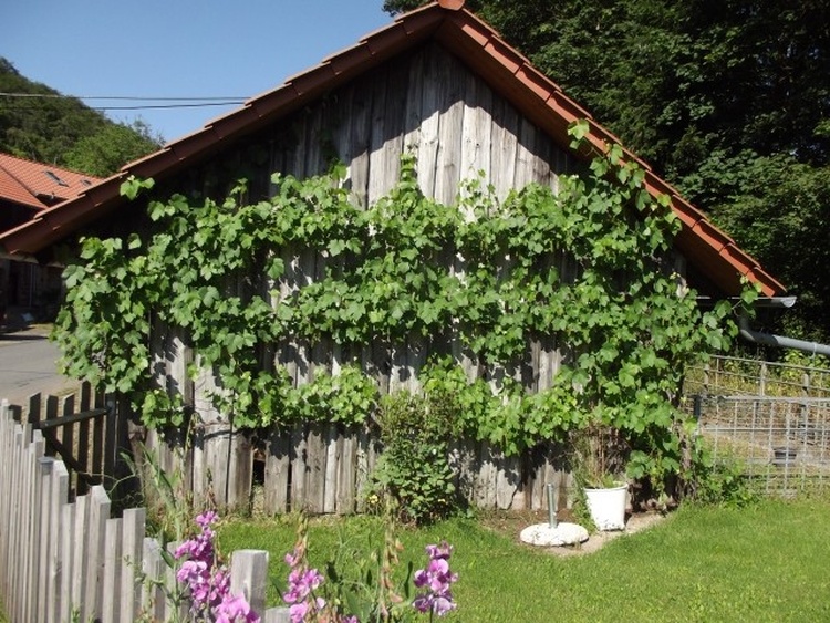 Gästegarten