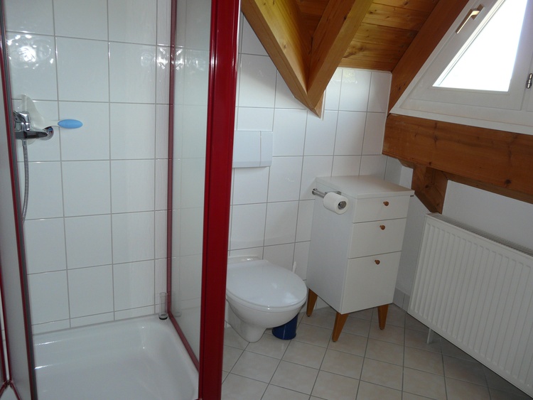 Dusche und WC im Bad Dusche und WC im Bad