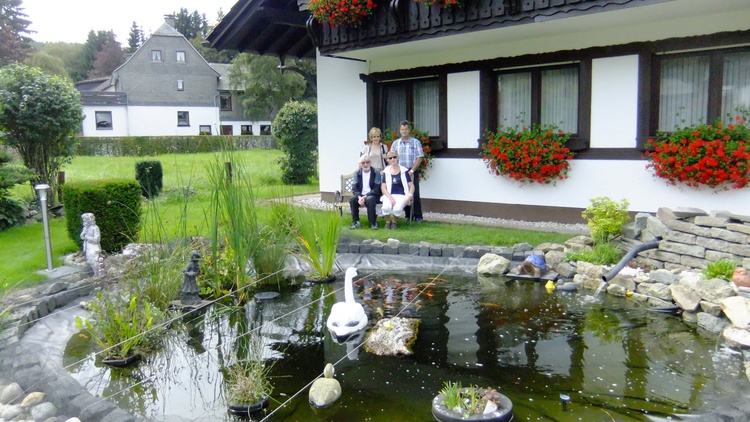 Koi Teich Koi Teich