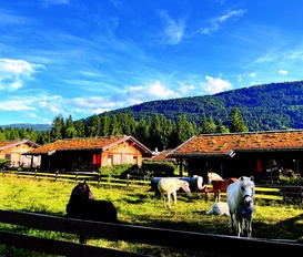 Chalet Hermagor