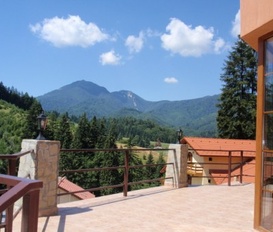 Ferienhaus Dimbul Morii/Saçele