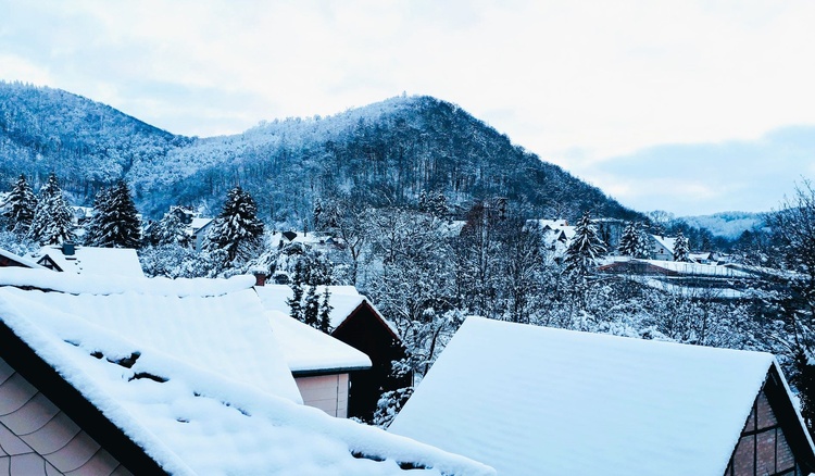 ihr Link zur Natur als Fensterblick ihr Link zur Natur als Fensterblick